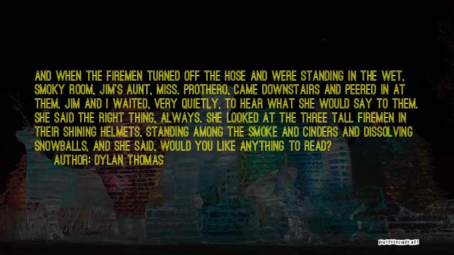 Helmets Quotes By Dylan Thomas