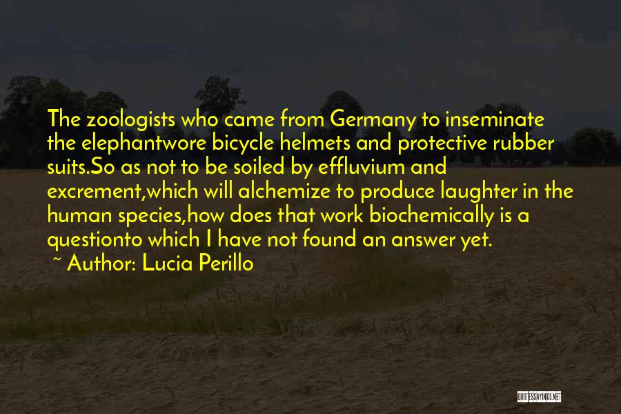 Helmets Quotes By Lucia Perillo