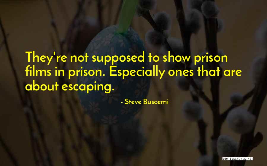 Helmo Learn Quotes By Steve Buscemi
