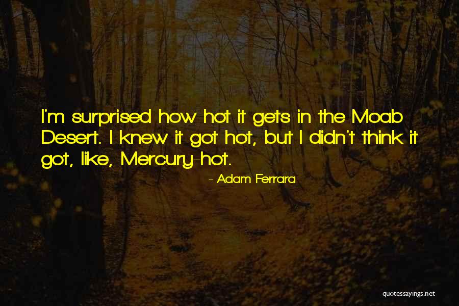 Helmont Northport Quotes By Adam Ferrara Helmont Northport Quotes By Adam Ferrara