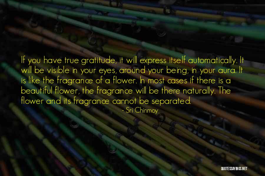 Helmreich Farms Quotes By Sri Chinmoy Helmreich Farms Quotes By Sri Chinmoy
