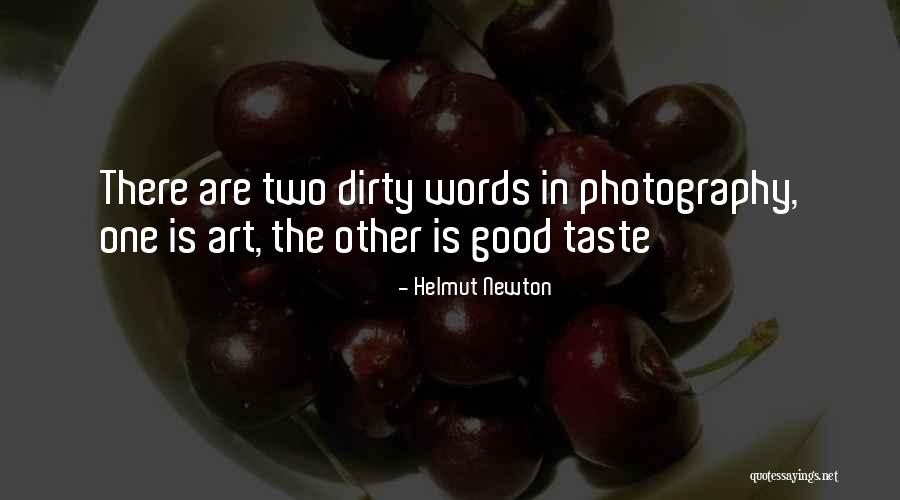 Helmut Newton Quotes 2000126