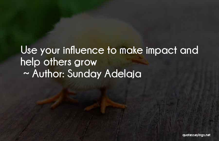 Help Others Grow Quotes By Sunday Adelaja