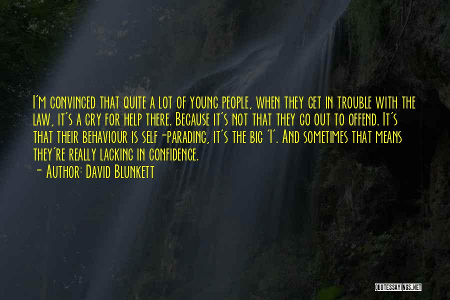 Help To Go Quotes By David Blunkett