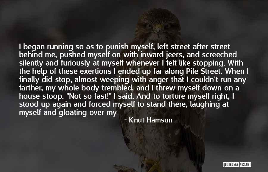 Help With Anger Quotes By Knut Hamsun Help With Anger Quotes By Knut Hamsun