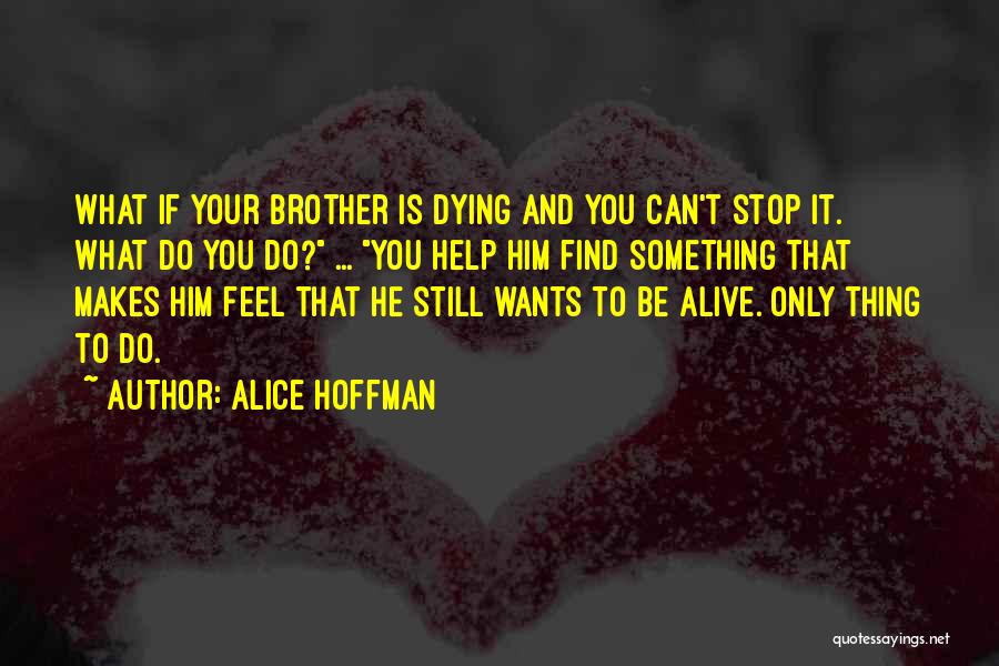 Help Your Brother Quotes By Alice Hoffman