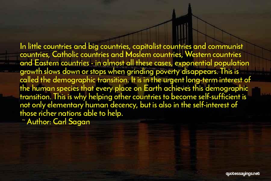 Helping Countries Quotes By Carl Sagan