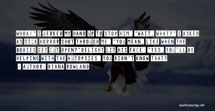 Helping Hand Quotes By Diana Rowland