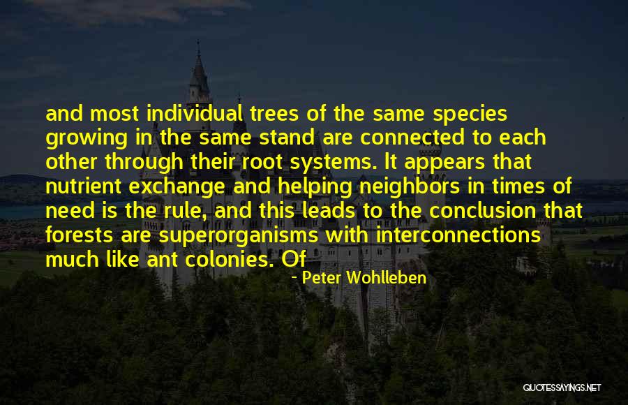 Helping Neighbors Quotes By Peter Wohlleben Helping Neighbors Quotes By Peter Wohlleben
