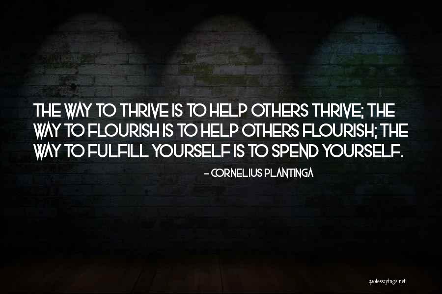 Helping Others To Help Yourself Quotes By Cornelius Plantinga