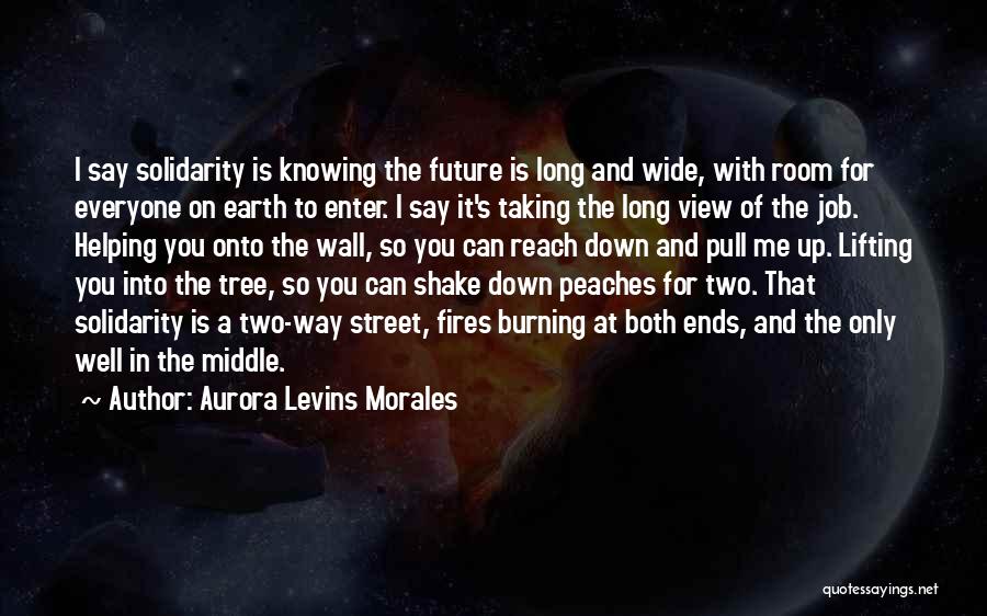 Helping The Earth Quotes By Aurora Levins Morales