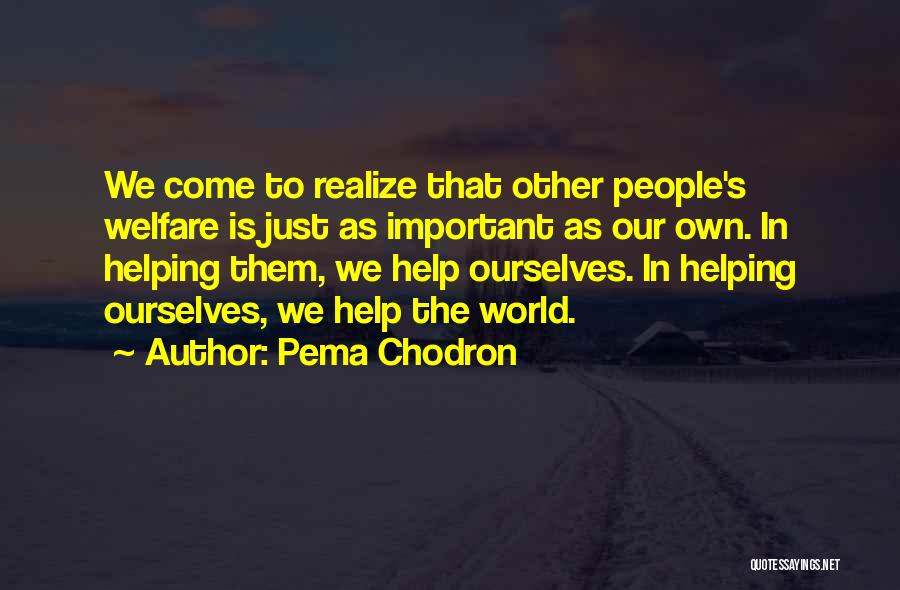 Helping The World Quotes By Pema Chodron