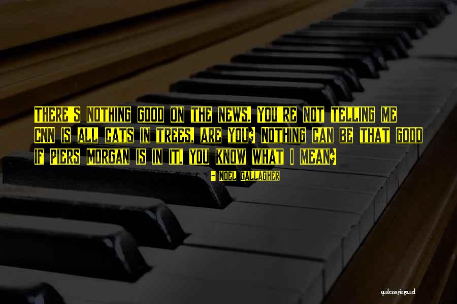 Helstone Student Quotes By Noel Gallagher Helstone Student Quotes By Noel Gallagher