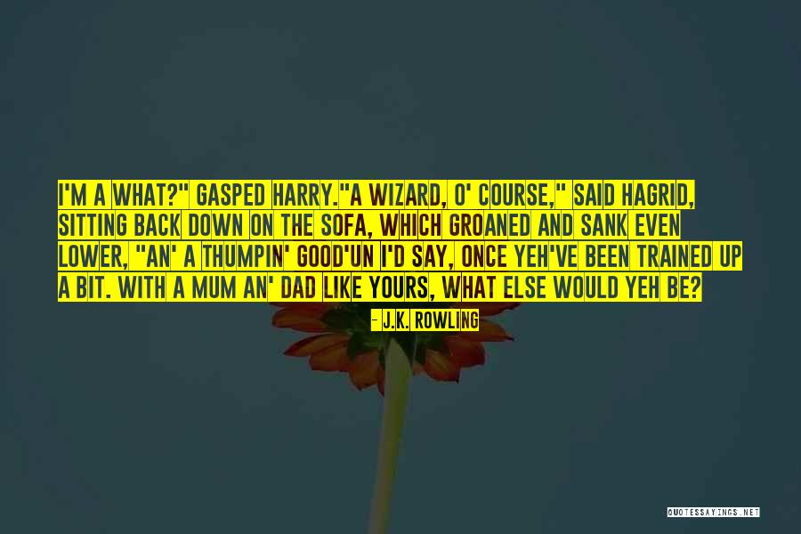 Hemanth Ravi Quotes By J.K. Rowling Hemanth Ravi Quotes By J.K. Rowling