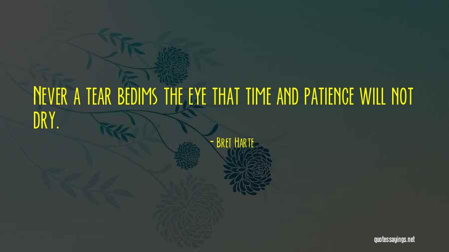 Hemelaerstraat Quotes By Bret Harte