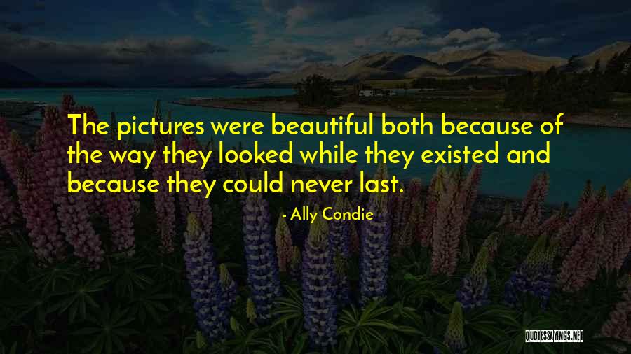 Hemeyers Quotes By Ally Condie Hemeyers Quotes By Ally Condie
