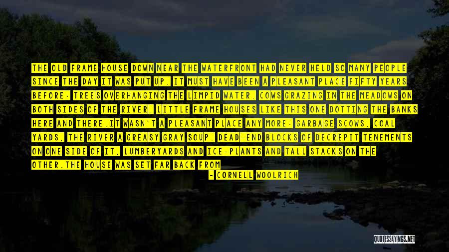Hemmed In Quotes By Cornell Woolrich Hemmed In Quotes By Cornell Woolrich