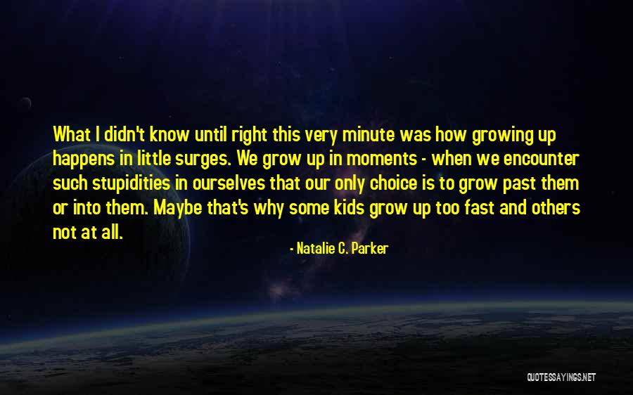 Hemmeter School Quotes By Natalie C. Parker Hemmeter School Quotes By Natalie C. Parker