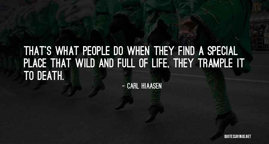 Hemoroidy Przyczyny Quotes By Carl Hiaasen Hemoroidy Przyczyny Quotes By Carl Hiaasen