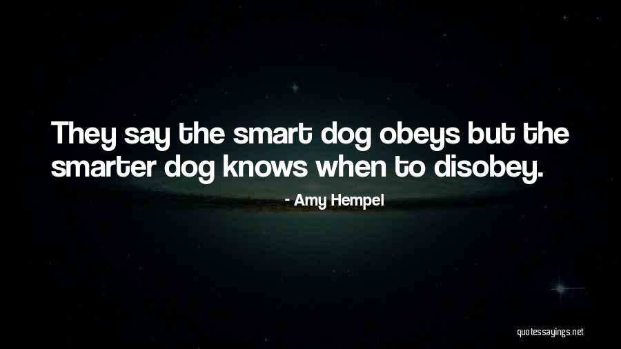 Hempel A S Quotes By Amy Hempel