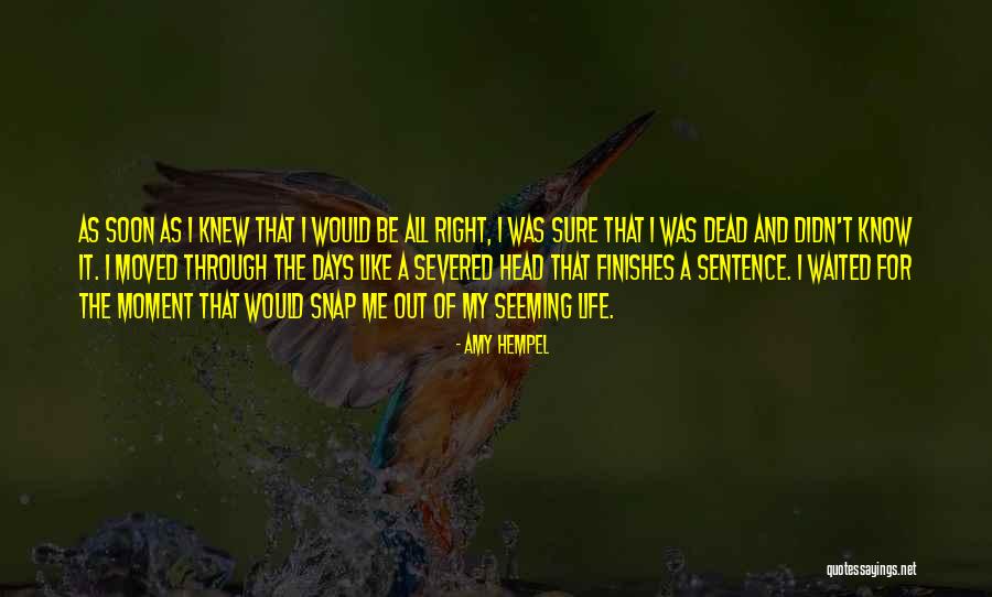 Hempel A S Quotes By Amy Hempel