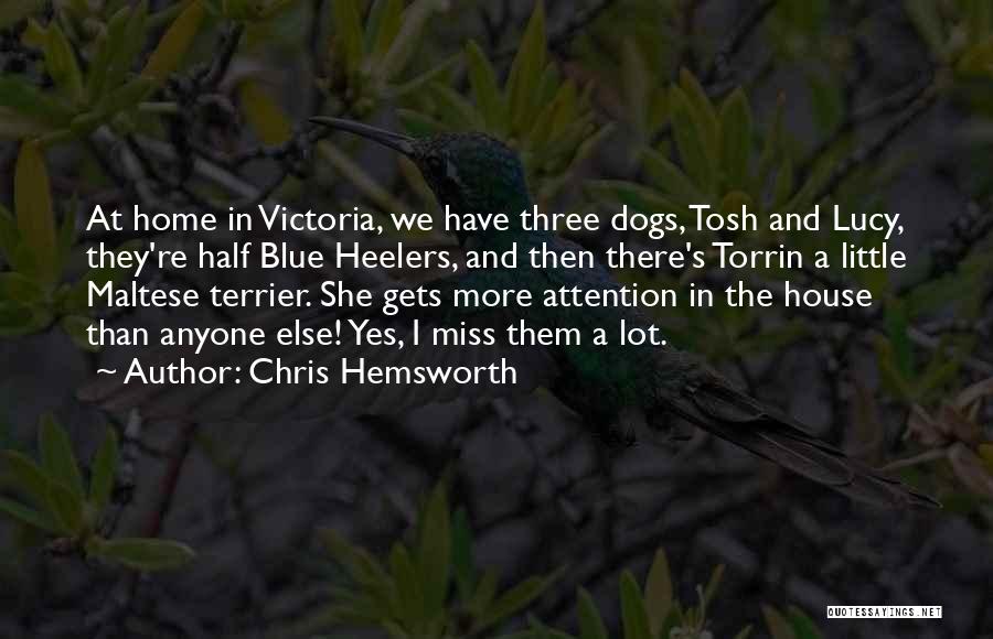 Hemsworth Quotes By Chris Hemsworth