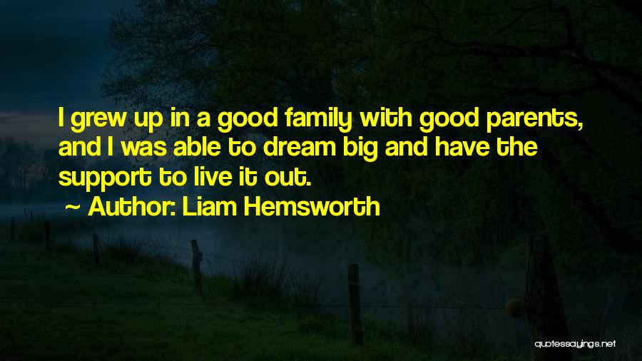 Hemsworth Quotes By Liam Hemsworth