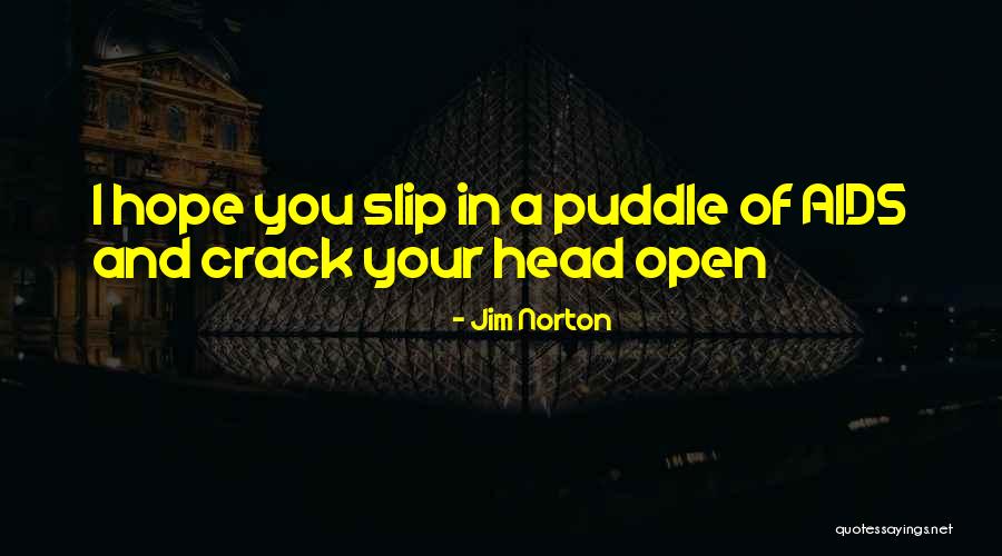 Henderson Rain King Quotes By Jim Norton