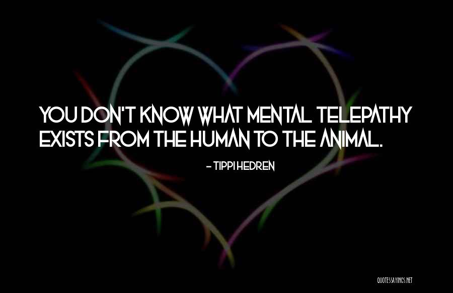 Hendler Artist Quotes By Tippi Hedren Hendler Artist Quotes By Tippi Hedren