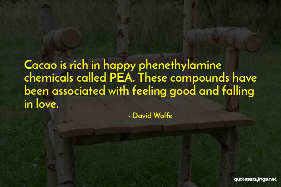 Hendra Setiawan Quotes By David Wolfe Hendra Setiawan Quotes By David Wolfe