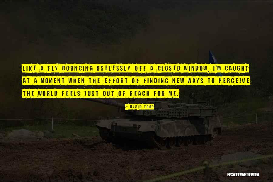 Hendriks As Pitcher Quotes By David Toop Hendriks As Pitcher Quotes By David Toop