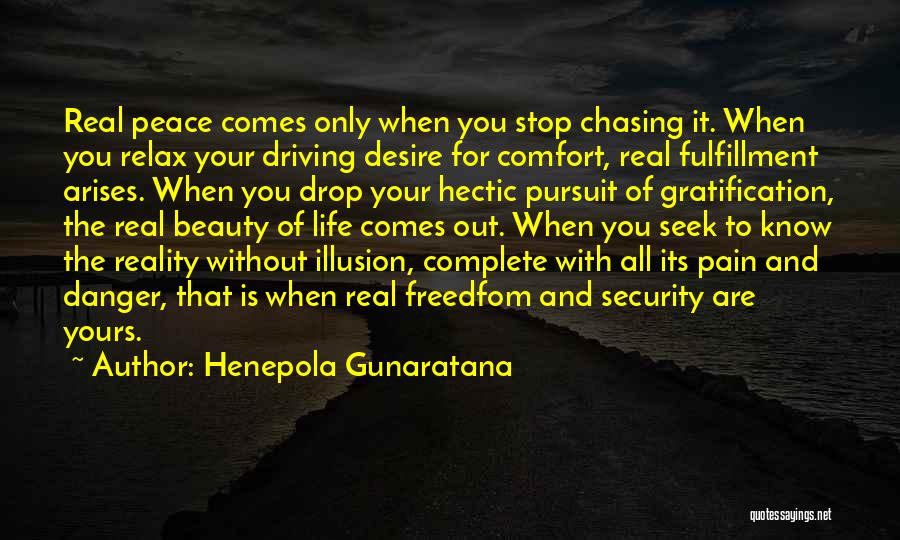 Henepola Gunaratana Quotes 108554