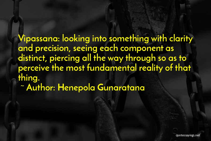 Henepola Gunaratana Quotes 1339434