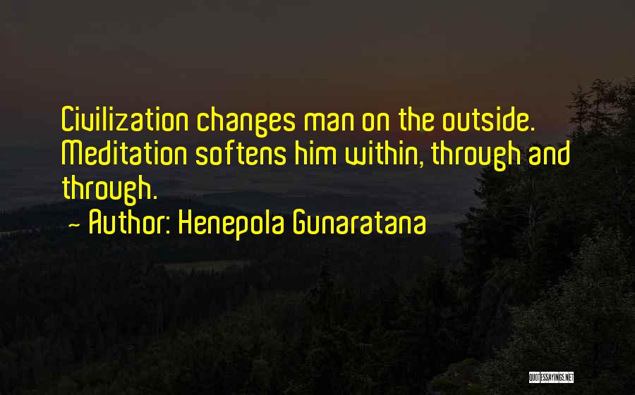 Henepola Gunaratana Quotes 1358048