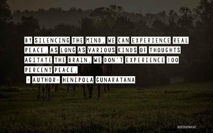 Henepola Gunaratana Quotes 1760457