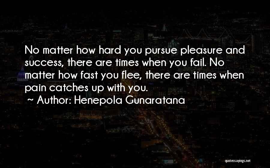 Henepola Gunaratana Quotes 353297