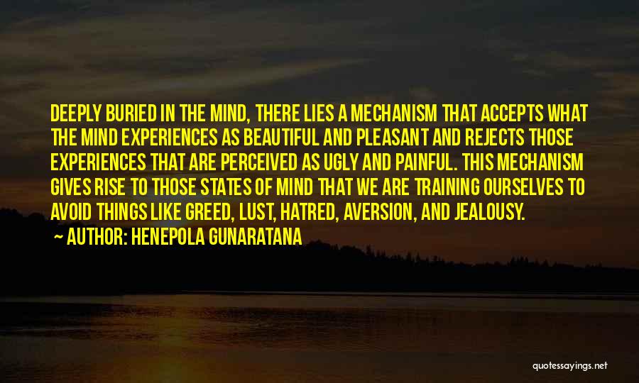 Henepola Gunaratana Quotes 403380