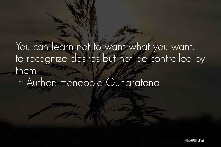 Henepola Gunaratana Quotes 773323