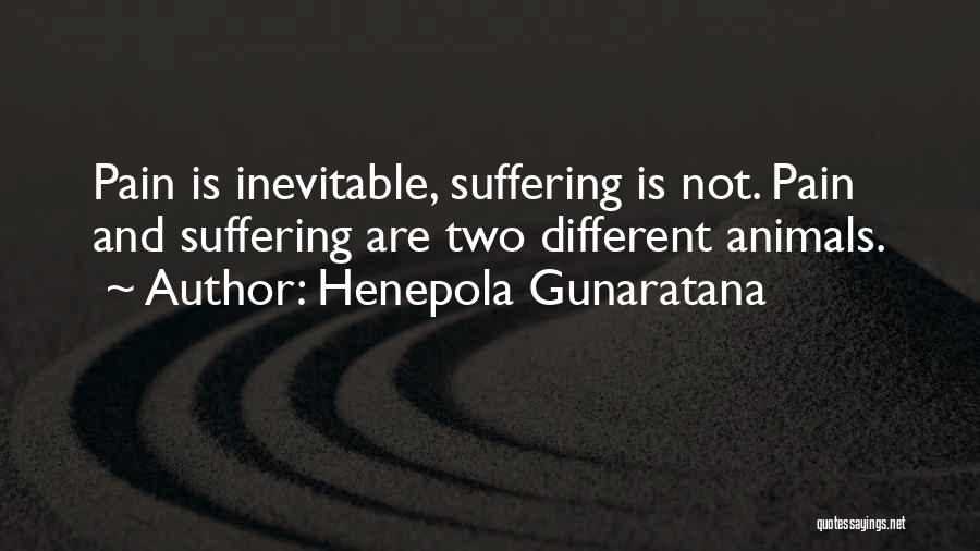 Henepola Gunaratana Quotes 984415