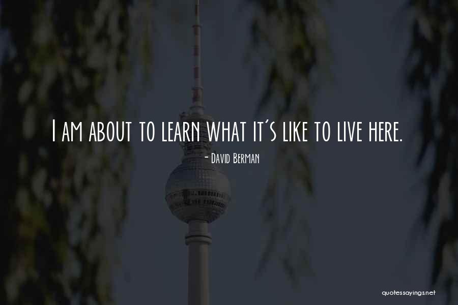 Henesys Quotes By David Berman Henesys Quotes By David Berman