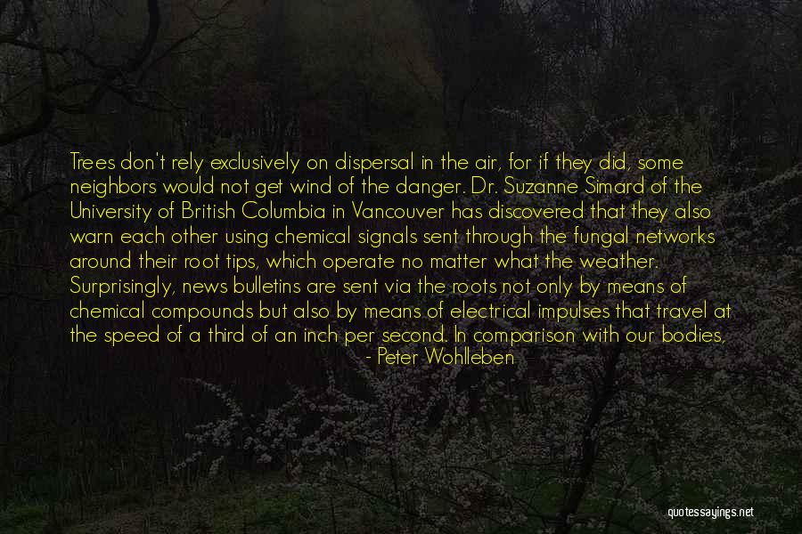 Henesys Quotes By Peter Wohlleben Henesys Quotes By Peter Wohlleben