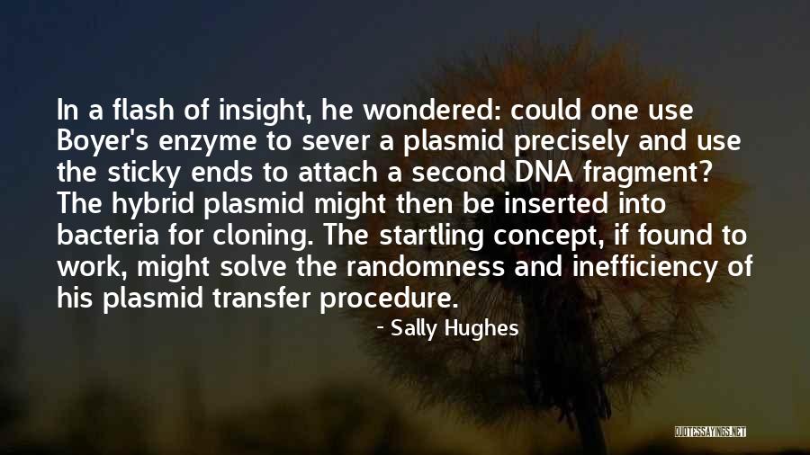 Henotheism Quotes By Sally Hughes Henotheism Quotes By Sally Hughes