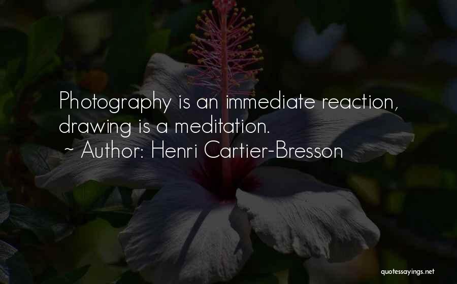 Henri Cartier-Bresson Quotes 1568549