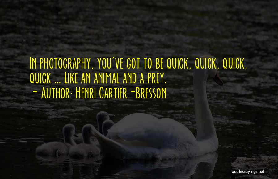 Henri Cartier-Bresson Quotes 1744126