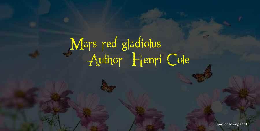 Henri Cole Quotes 1564162