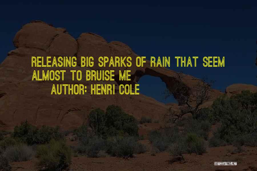 Henri Cole Quotes 2153252