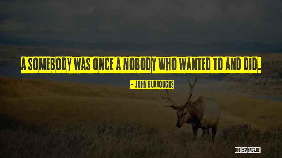 Henri Fabre Quotes By John Burroughs