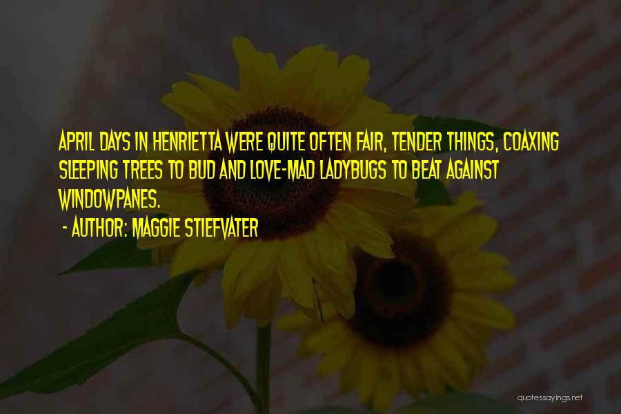 Henrietta Quotes By Maggie Stiefvater