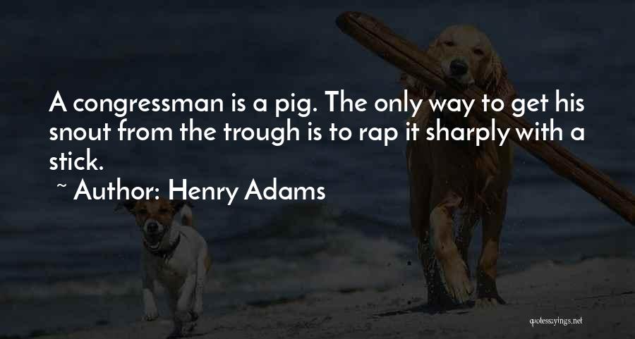 Henry Adams Quotes 1046737