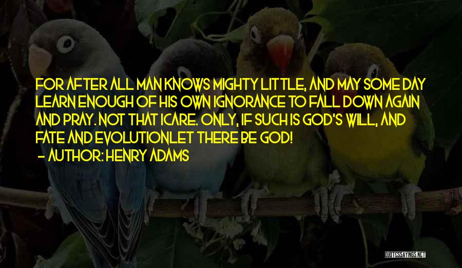 Henry Adams Quotes 1240056